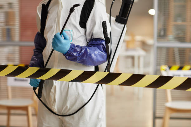 Professional Odor Removal technician working in Lebec, CA